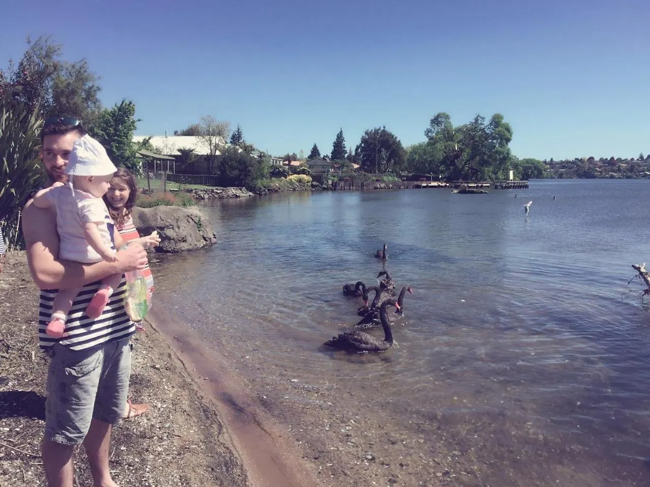 Villa Super Lake Edge Lodge Rotorua Neuseeland