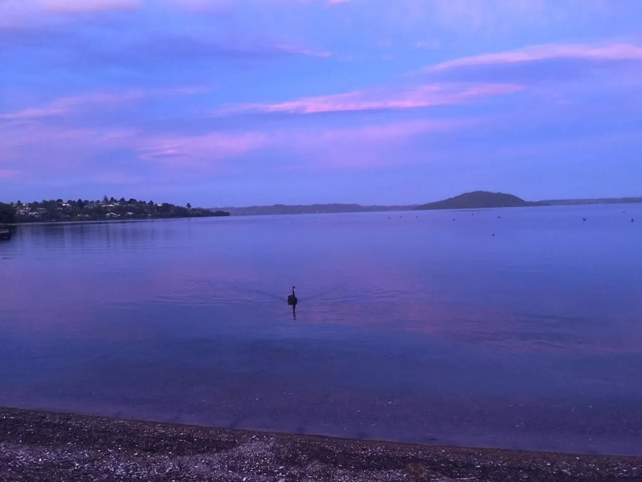 Super Lake Edge Lodge Rotorua